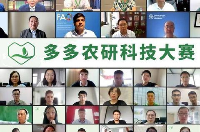 2019年，拼多多推出了助力群功能，旨在通过多多帮助力平台增强用户间的互助合作。