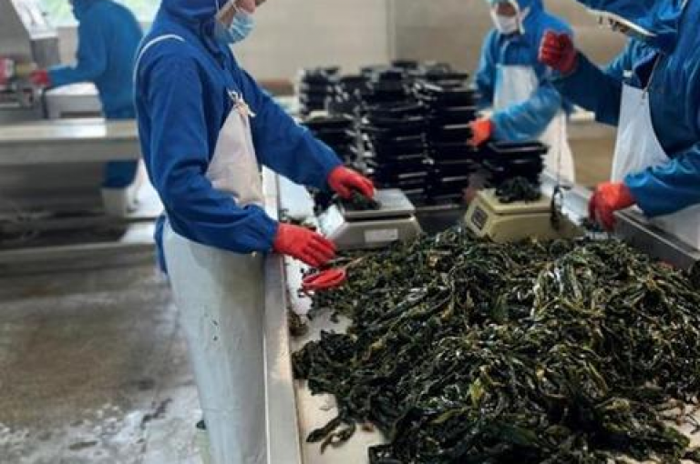 拼多多平台推出了免费助力活动，用户通过参与可以享受优惠。