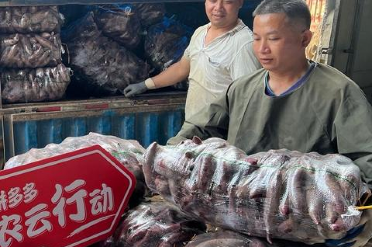 拼多多助力平台是否真实有效？