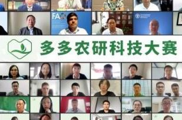 拼多多互助小组最新论坛{多多助力新手账号}