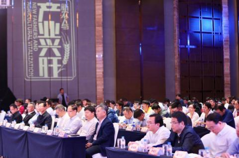 拼多多新用户助力不了可能是由于系统问题或账号异常，建议联系客服寻求解决方案。
