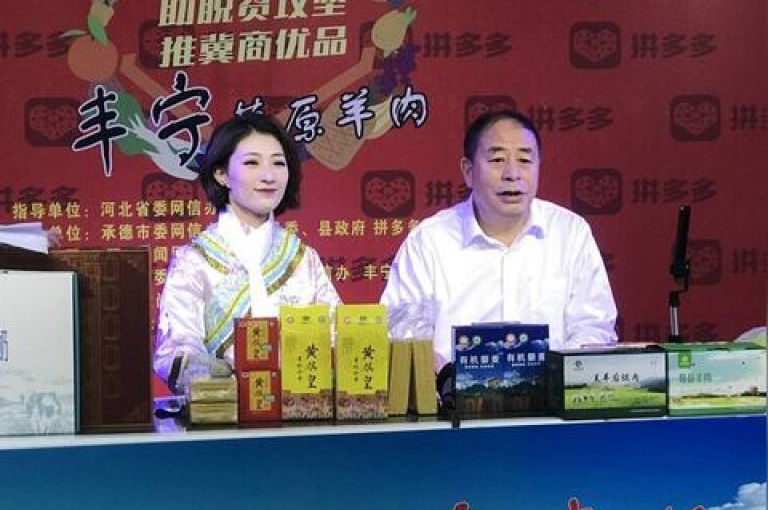 深入探讨拼多多真人助力群的实际效果与可信度。