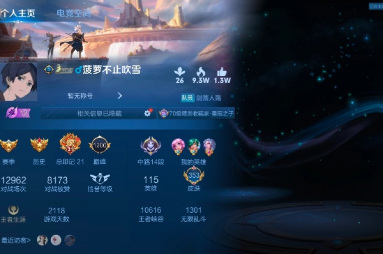 ks免费业务平台实惠 - 王者荣耀点赞服务。