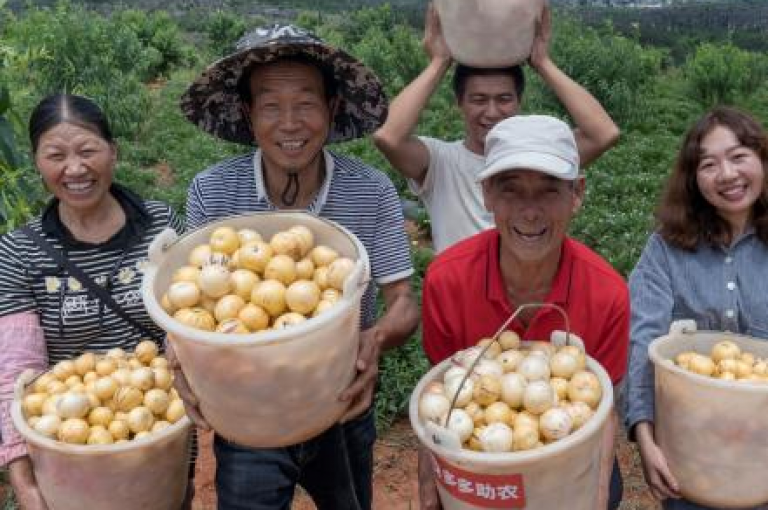 要轻松实现拼多多助力成功，关键在于提前规划并积极动员亲朋好友参与。