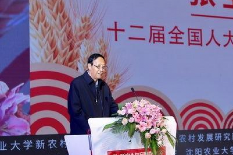 拼多多助力活动真热闹，大家都在积极帮好友砍价。