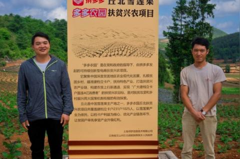 拼多多互助群24小时在线{多多助力平台}