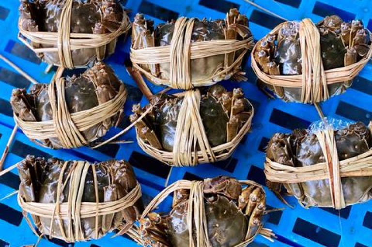 拼多多互助网站旨在帮助用户通过集体的力量完成拼多多平台上的助力活动，从而获得优惠或奖励。