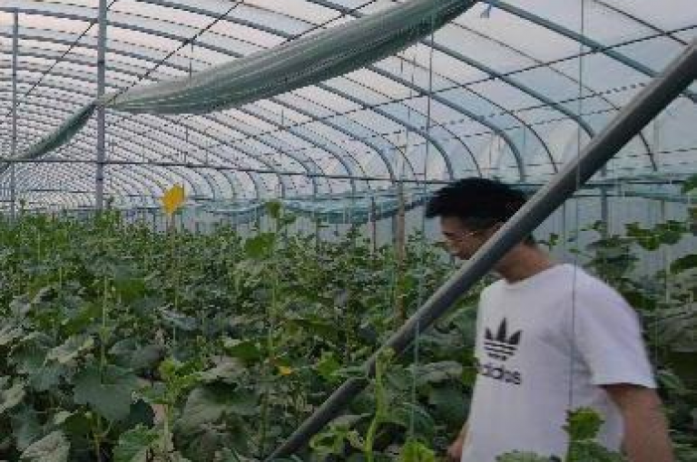 拼多多助力群的创建旨在聚集用户互相帮助，而群号的获取往往通过社交平台或特定论坛分享。