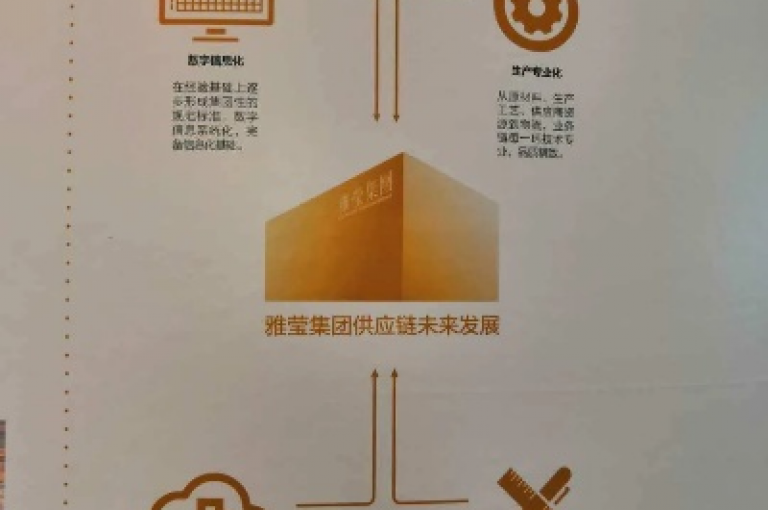 迈向未来，拼多多推动平台总站的繁荣愿景（2025前瞻）。
