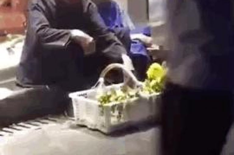 QQ赞网站 - 抖音自助商城，提供便捷的点赞服务。