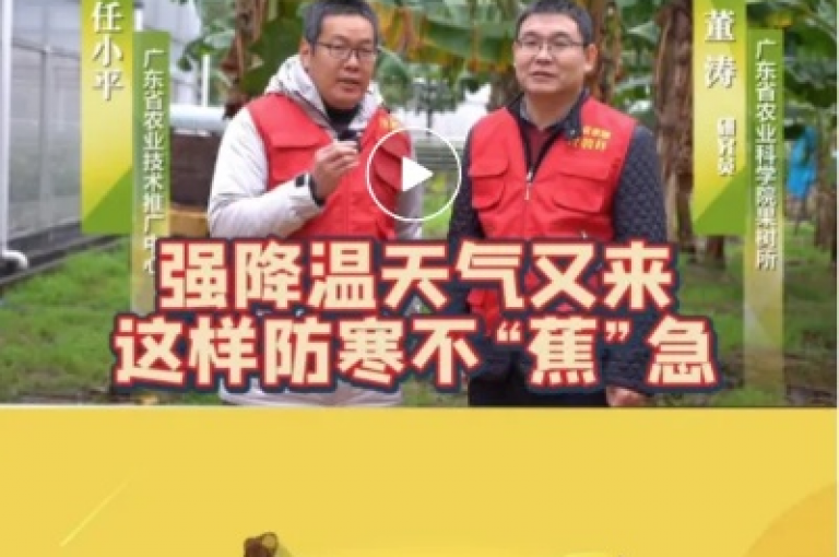 探索便捷支付新体验，微信支付助力ks平台，1元快手点赞轻松得，全民K歌听众飙升秘籍，快手双击服务，24小时不间断，独家网站揭秘流量增长新策略。
