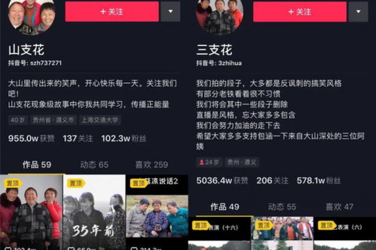 探索专业平台，一键增加抖音快手点赞与关注，迅速点燃你的社交媒体影响力！