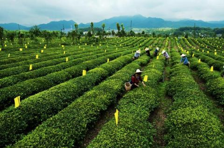 拼多多2025年免费助力群二维码 - 多多互助平台