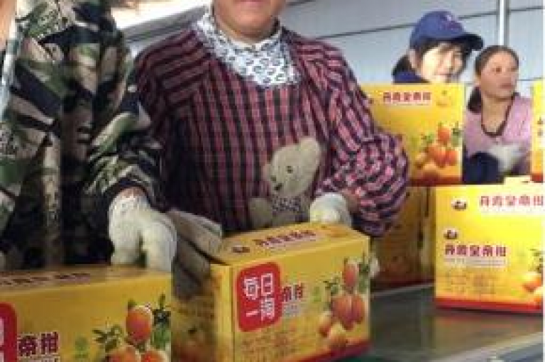 拼多多在微信群和贴吧中掀起助力热潮，引领社交与电商融合的新潮流。