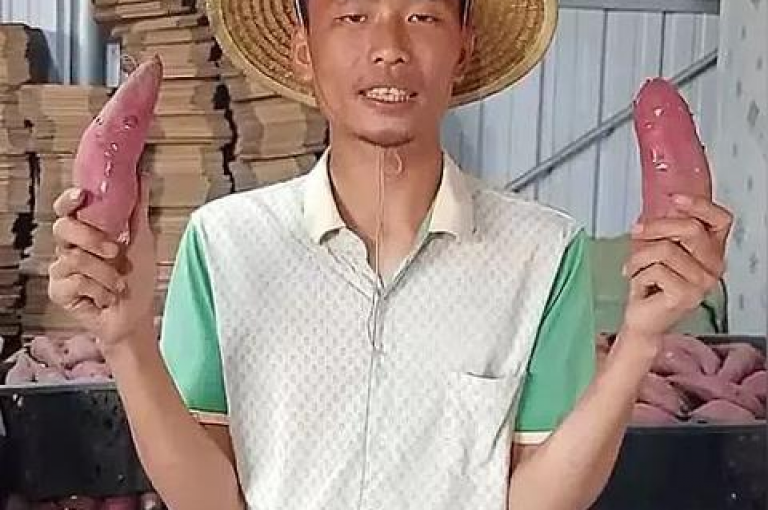 新人专享福利拼多多自助下单，轻松助力购物新体验。