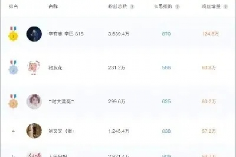 抖音视频推广工具，助力您的视频迅速走红网络。